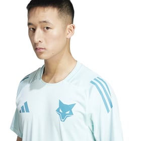 Kinder Cruzeiro 2025 Dritt Authentisches Trainingsshirt - Türkisblau