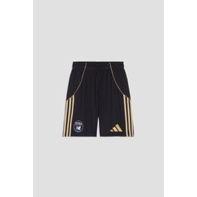 Herren Pisa 2025/26 Heimshorts