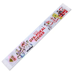 VfB Stuttgart Pokalsieger Team Schal