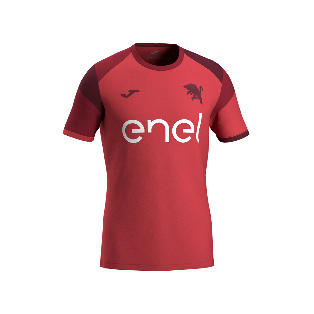 Herren Torino 2024/25 Dritte Authentisches Trainingsshirt