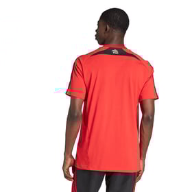 Herren Flamengo 2025 Drittes Urban Purist-Trikot