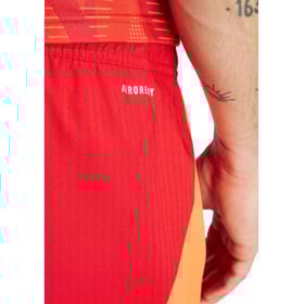 Herren Straßburg 2024/25 Drittes Authentisch Training Shorts – Rot