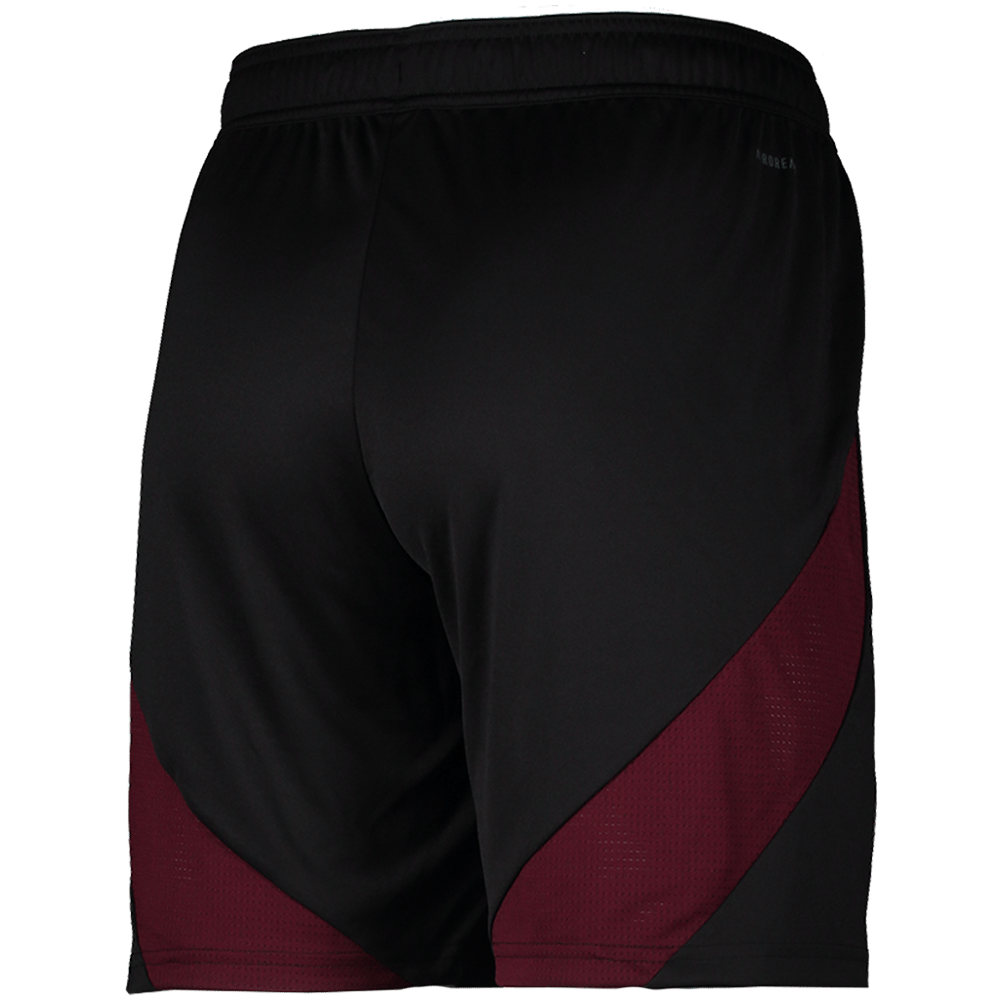 Damen 1. FC Nürnberg 2024/25 Heim Shorts