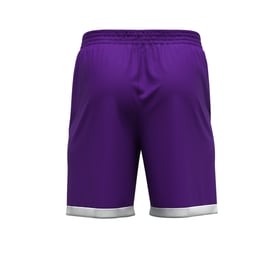 Men's Beerschot 2024/25 Third Authentic Training Shorts - Purple