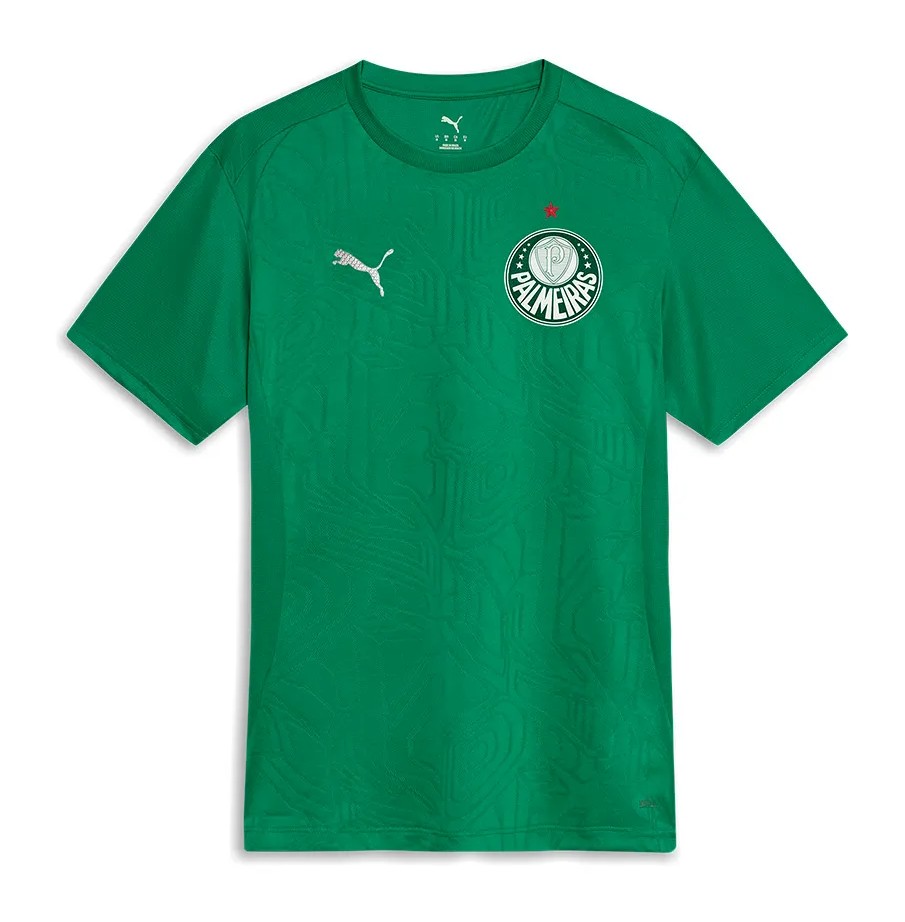Kinder Palmeiras 2025 Dritt Authentisches Trainingsshirt