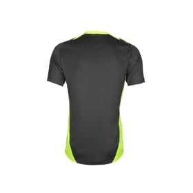 Herren Real Zaragoza 2024/25 Dritt Authentisches Trainingsshirt - Grau