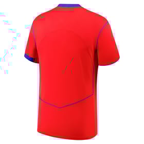 Homme PSG 2025/26 Troisième Maillot