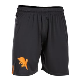 Herren Torino 2023/24 Dritte Shorts