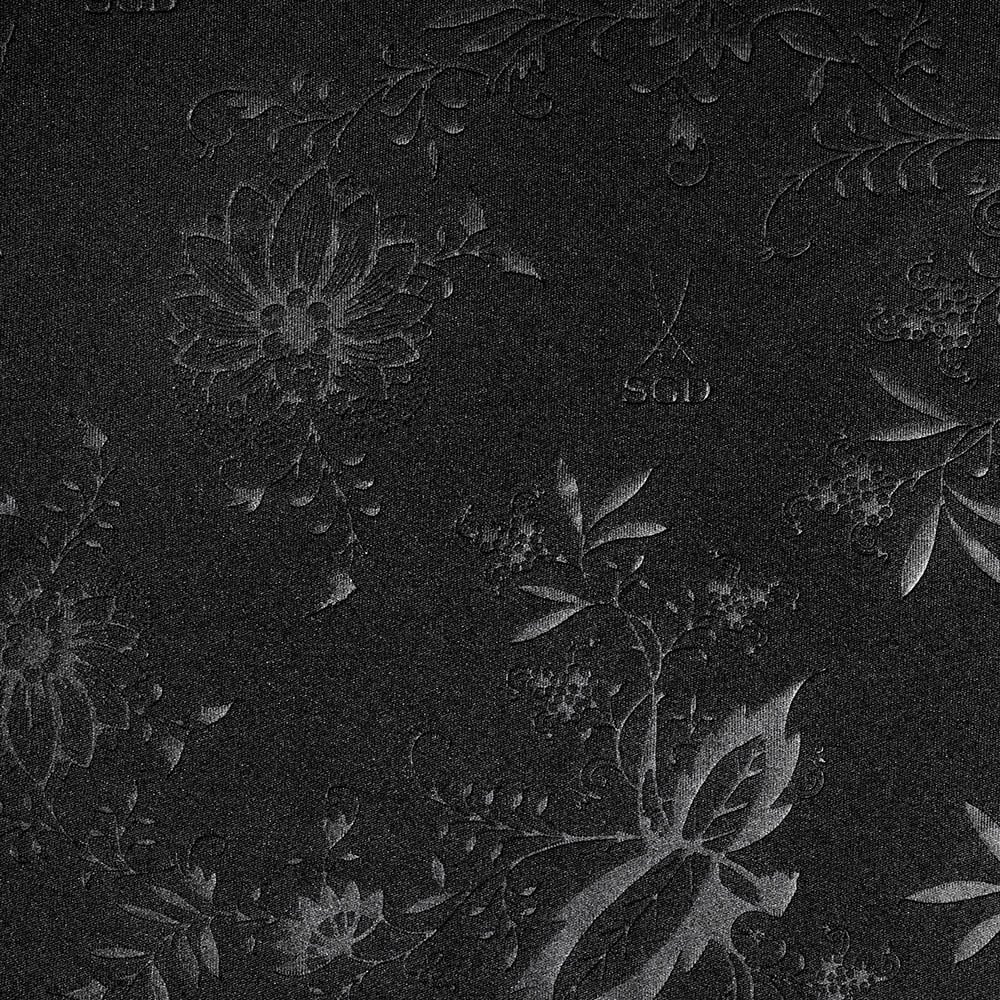 Camiseta Especial Totalmente Negra Dynamo Dresden Niño 2025/26