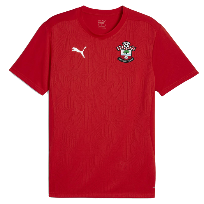 Herren Southampton 2024/25 Drittes Authentisches Trainingsshirt