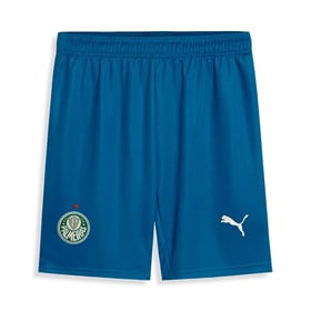 Herren Palmeiras 2025 Dritte Shorts