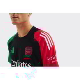 Herren Arsenal 2024/25 Dritttrikot Training European Authentic