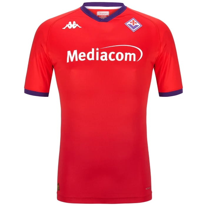 Herren Fiorentina 2024/25 Drittentrikot Authentisch Pro