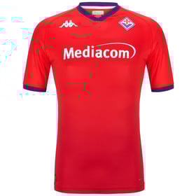 Herren Fiorentina 2024/25 Drittentrikot Authentisch Pro