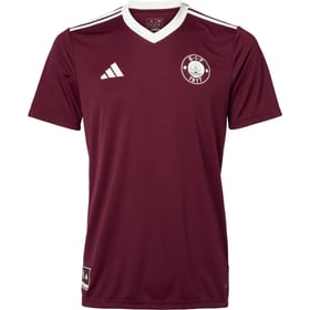 Tercera Camiseta de Calentamiento 2025/26 Silkeborg IF para Hombre