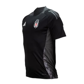 Herren Besiktas JK 2024/25 Dritt Authentic Trainingstrikot