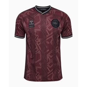 Damen Dänemark 2024 Sondertrikot