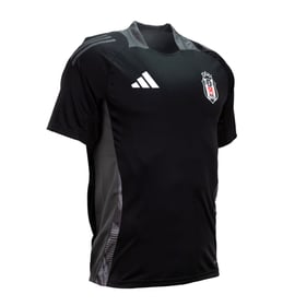 Herren Besiktas JK 2024/25 Dritt Authentic Trainingstrikot