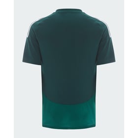 Damen Al Ahli SFC 2024/25 Auswärtstrikot