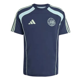 Herren Ajax 2025/26 Urban Purist Trikot