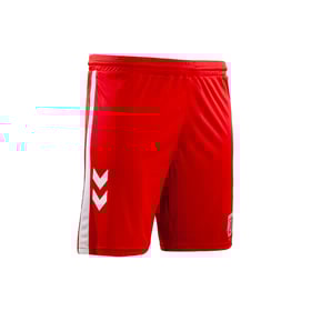 Herren SSV Jahn Regensburg 2024/25 Heim Shorts