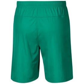 Damen SpVgg Greuther 2024/25 Auswärts Shorts
