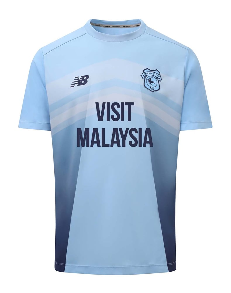 Herren Cardiff City 2023/24 Dritttrikot