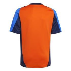 Kinder Juventus 2024/25 Dritte Authentische Trainingsshirt