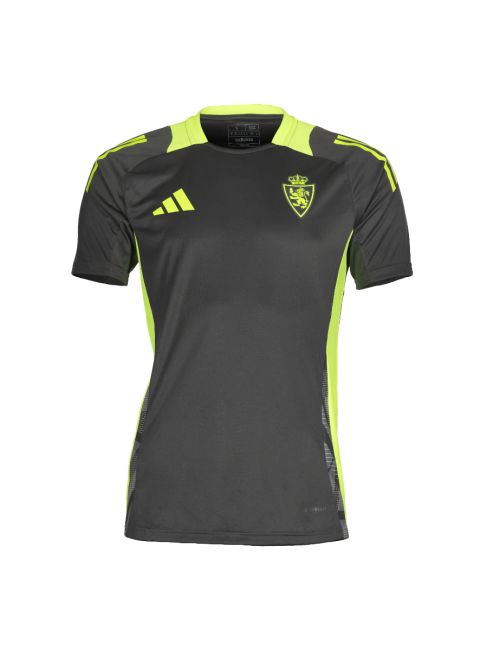 Herren Real Zaragoza 2024/25 Dritt Authentisches Trainingsshirt - Grau