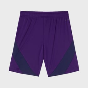Damen Djurgårdens IF 2024 Dritte Shorts