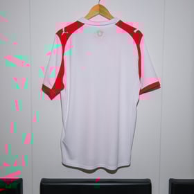 Herrentrikot Southampton Heim Starling 2025/26