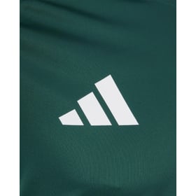 Women's Leicester City 2024/25 Third Authentic Training Shirt - Green