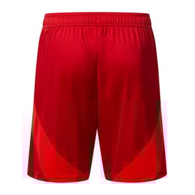 Men's Fortuna Düsseldorf 2024/25 Home Shorts