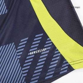 Schottland Heimtrikot EURO 2024