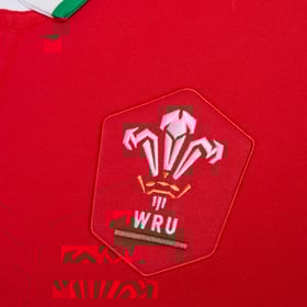 Men's Wales Rugby 2021 Home Polo Shirt
