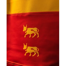 Men's Pau Section 2026/27 Territoire Supersevens Shirt