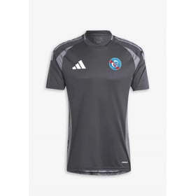 Herren Straßburg 2024/25 Drittes Vor dem Spiel Trikot – Grau