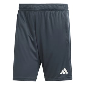 Men's Juventus 2023/24 Third Authentic UCL Training Shorts