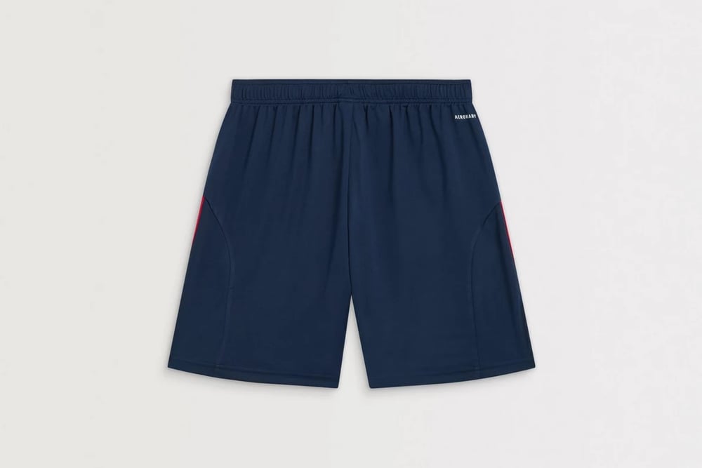 Men's Arsenal 2025/26 Away Shorts