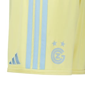 Herren Grasshopper Club Zürich 2026/27 Sondershorts