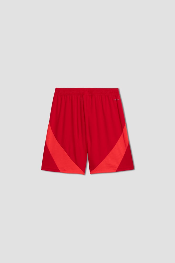 Men's Pisa 2024/25 Away Shorts