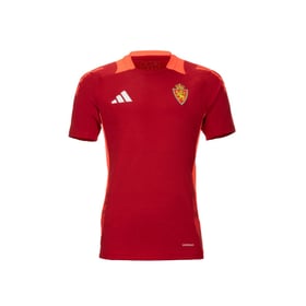 Herren Real Zaragoza 2024/25 Dritt Authentisches Trainingsshirt - Rot