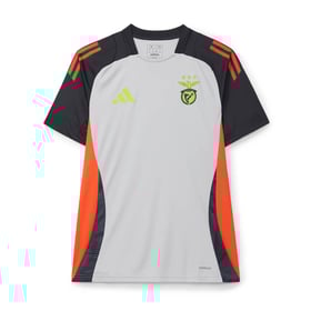 Damen SL Benfica 2024/25 Drittes Authentisches Trainings-Trikot - Grau