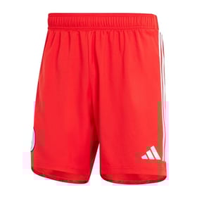 Pantalones cortos hombre Chicago Fire 2025 local