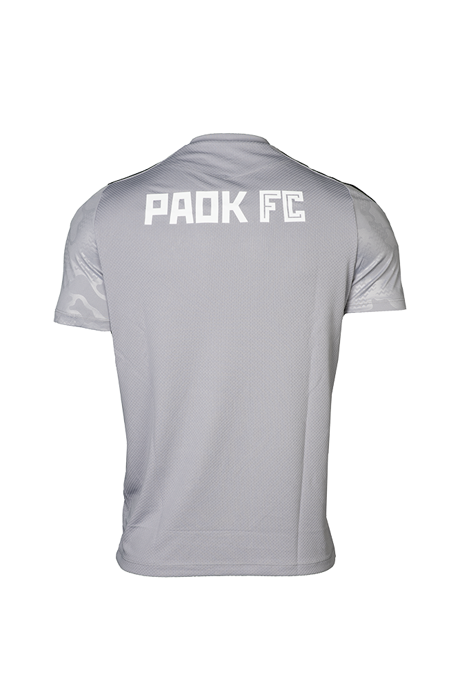 Kid's PAOK FC 2024/25 Third Authentic Training Shirt - Gray
