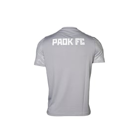 Kid's PAOK FC 2024/25 Third Authentic Training Shirt - Gray