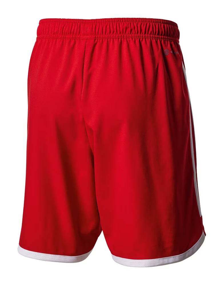 Women's Hamburger SV 2023/24 Home Shorts
