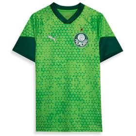 Women's Palmeiras 2024 Third Authentic Training Shirt