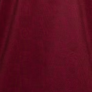 Men's Queensland Reds 2026 Home Shirt