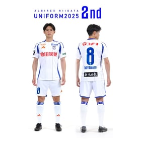 Herren Albirex Niigata 2025 Auswärtstrikot